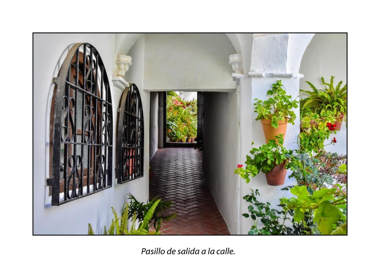 Casa Del Mayorazgo Con Plaza De Parking Privada Vejer de la Frontera Ngoại thất bức ảnh